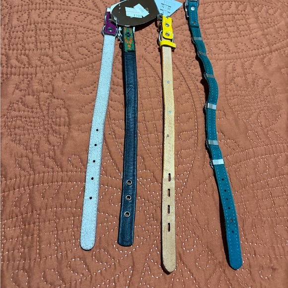 Colorful Dog Collars Set - Picture 3 of 4